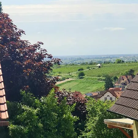 Pusteblume Mit Balkon, Neu Teilrenoviert *
