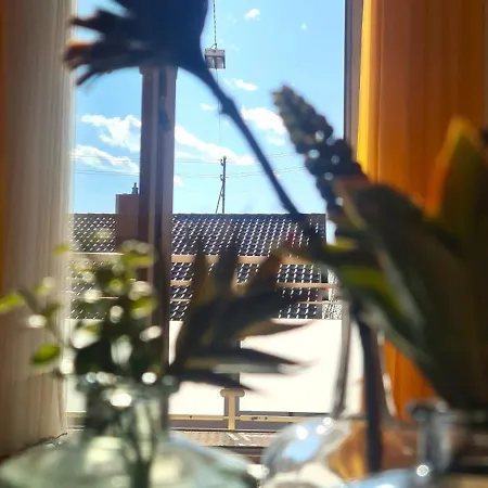 Pusteblume Mit Balkon, Neu Teilrenoviert * Sankt Martin