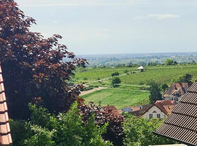 Pusteblume Mit Balkon, Neu Teilrenoviert *