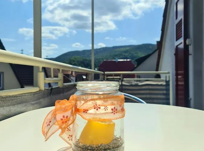 Apartman Pusteblume Mit Balkon, Neu Teilrenoviert Sankt Martin